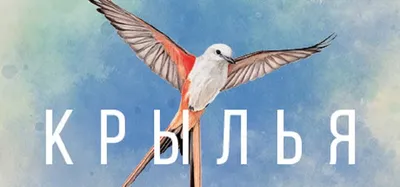 Wingspan (Крылья)