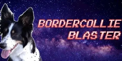 BorderCollie Blaster