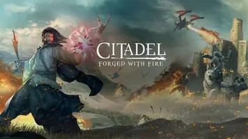Citadel: Forged with Fire по сети