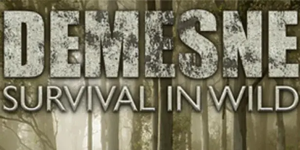 Demesne
