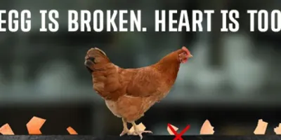 egg is broken. heart is too.