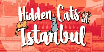 Hidden Cats in Istanbul