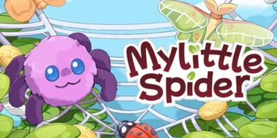 My Little Spider