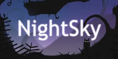 NightSky