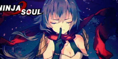 Ninja Soul