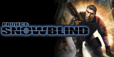 Project: Snowblind