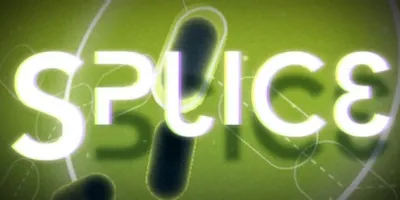 Splice