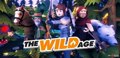 The Wild Age