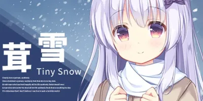 Tiny Snow