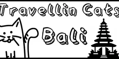 Travellin Cats in Bali