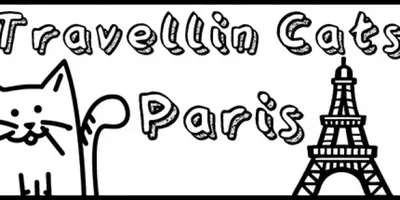 Travellin Cats in Paris