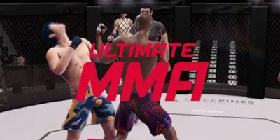 Ultimate MMA