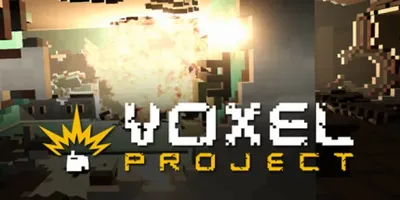 Voxel Project