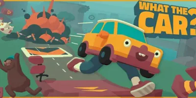 WHAT THE CAR?