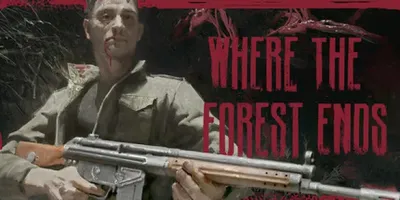 Where the forest ends