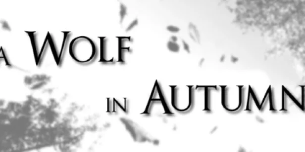 A Wolf in Autumn