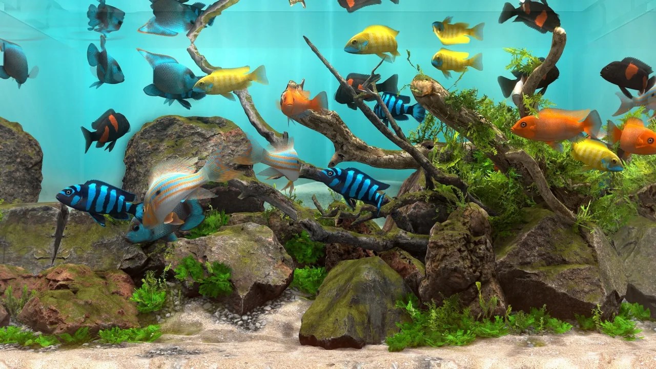 Скриншот 6 игры Behind Glass: Aquarium Simulator