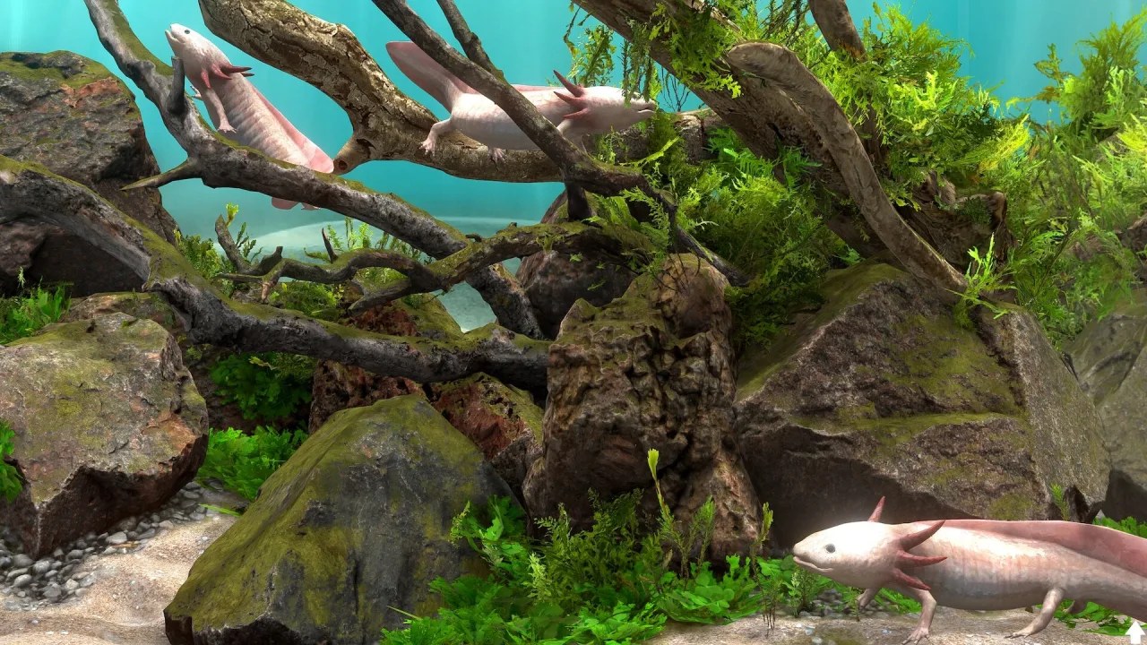 Скриншот 3 игры Behind Glass: Aquarium Simulator