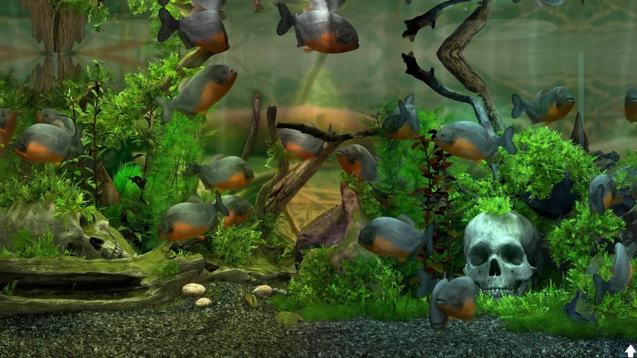 Скриншот 2 игры Behind Glass: Aquarium Simulator
