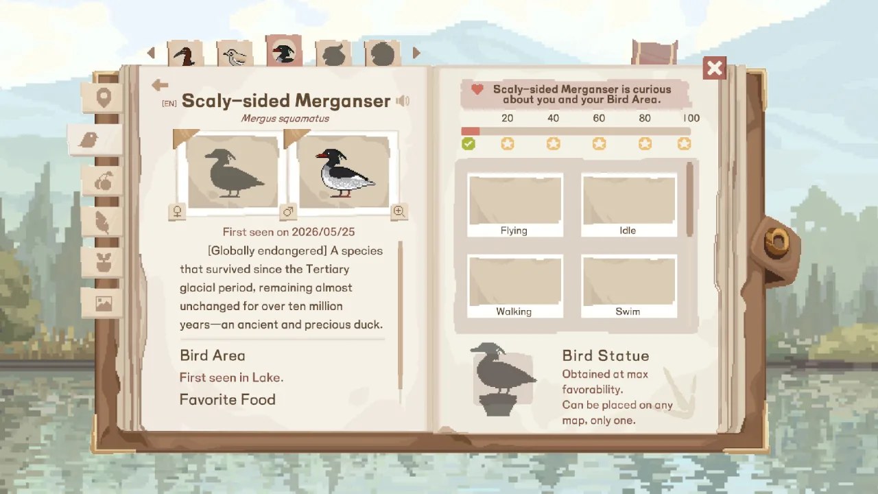 Скриншот 6 игры Birdwatching Notebook