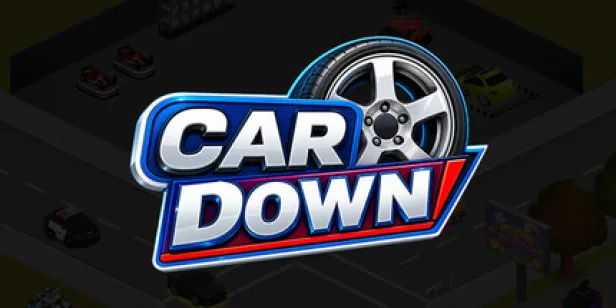 Car Down