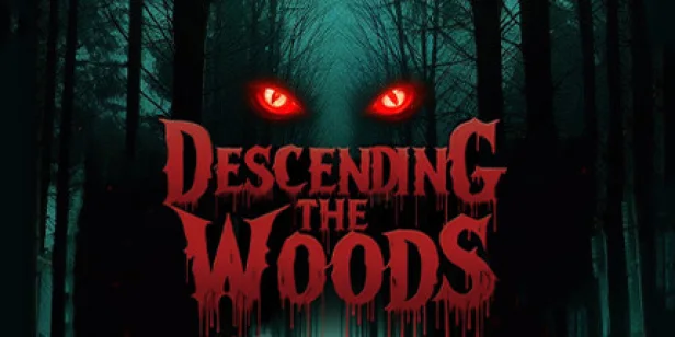 Descending The Woods