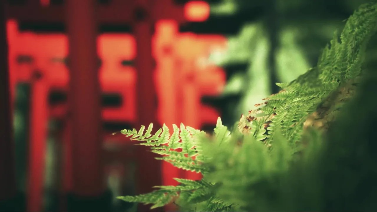 Скриншот 3 игры Explore Fushimi Inari