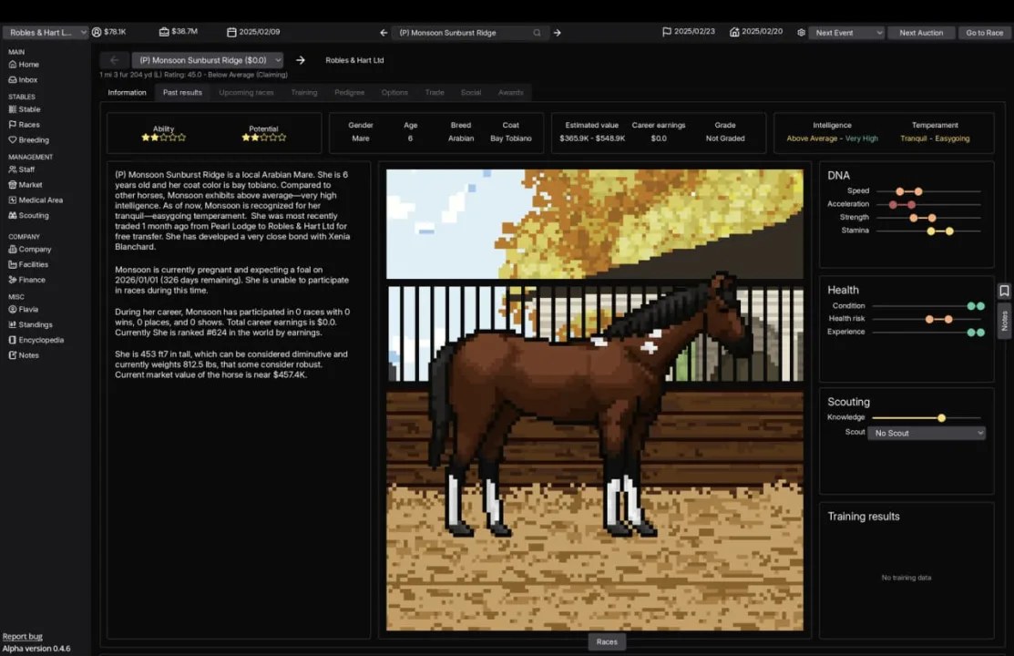 Horse Racing Manager - скриншот