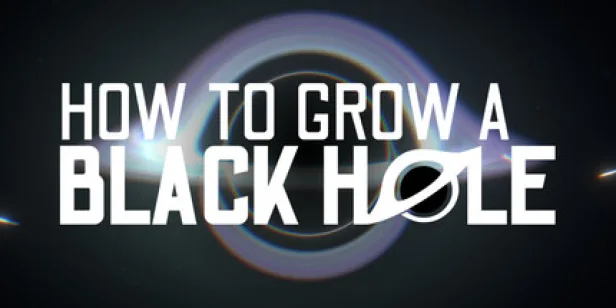 How To Grow a Black Hole
