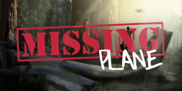 Missing Plane: Survival