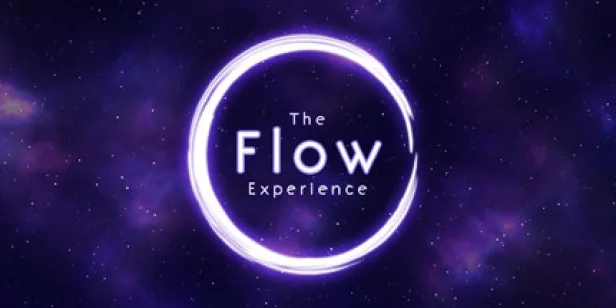 The Flow Experience