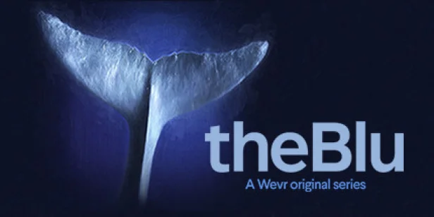 theBlu