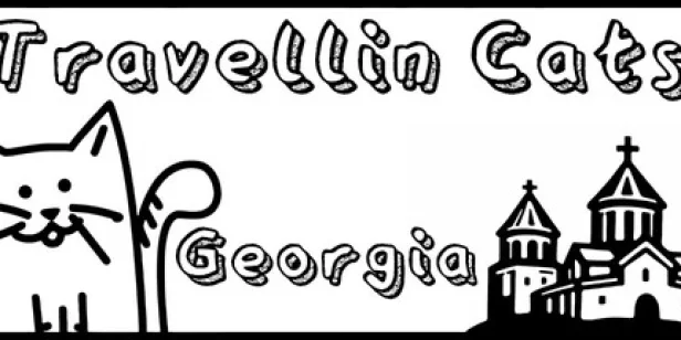 Travellin Cats in Georgia