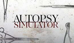 Autopsy Simulator