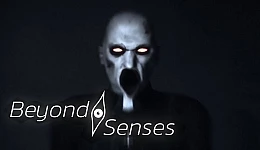 Beyond Senses