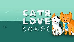 Cats Love Boxes