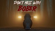 Don't Mess With Bober