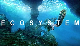 Ecosystem
