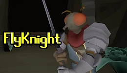 FlyKnight