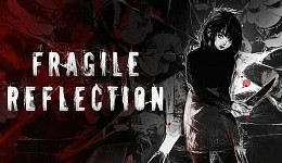 Fragile Reflection