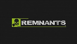 Remnants
