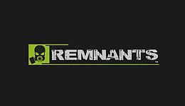 Remnants