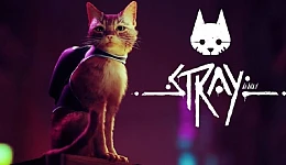 Stray