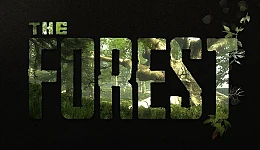 The Forest