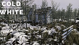 The Cold White