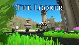 The Looker