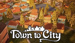 Town to City
