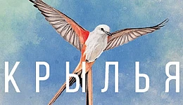 Wingspan (Крылья)