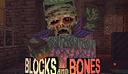 Blocks and Bones