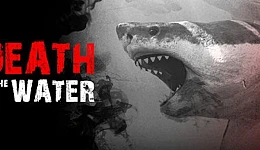 Death in the Water